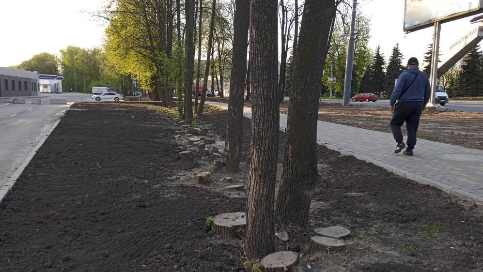 В Брянске возле памятника Летчикам спилили почти полсотни деревьев