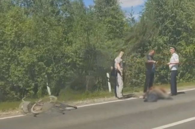 Велосипедист погиб под колесами автомобиля в Брянске на объездной дороге