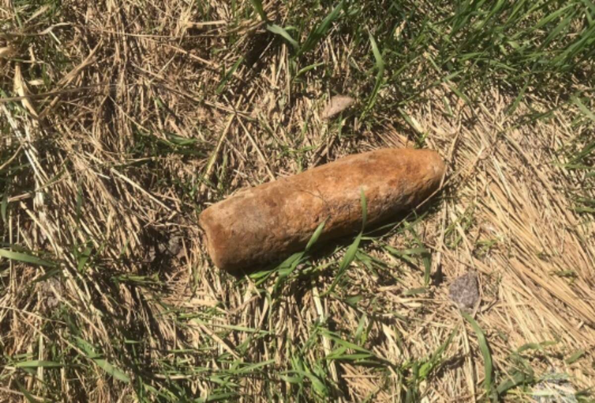 В лесу Брасовского района обнаружили 150-мм снаряд