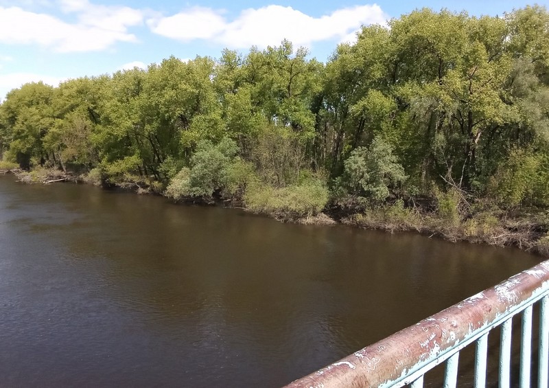 На воскресенье брянцам пообещали до +20ºC