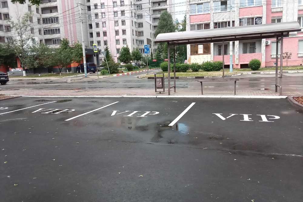 VIP-парковка в центре Брянска заинтриговала горожан