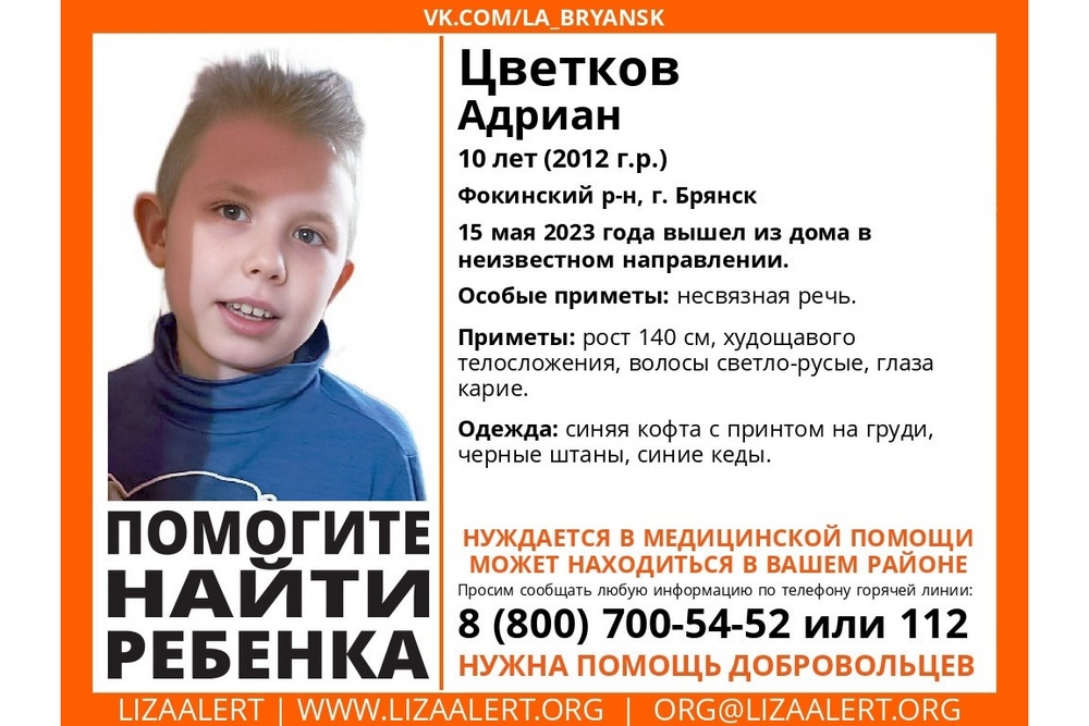 Пропавший в Брянске 10-летний мальчик найден живым
