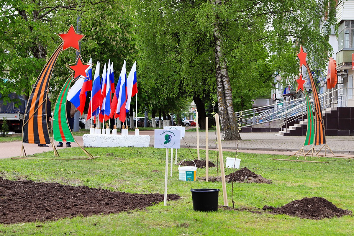 В центре Бежицкого района Брянска появился новый яблоневый сад