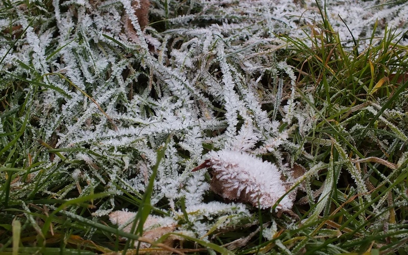 Гидрометцентр России предупредил о 14-градусном морозе в Брянской области