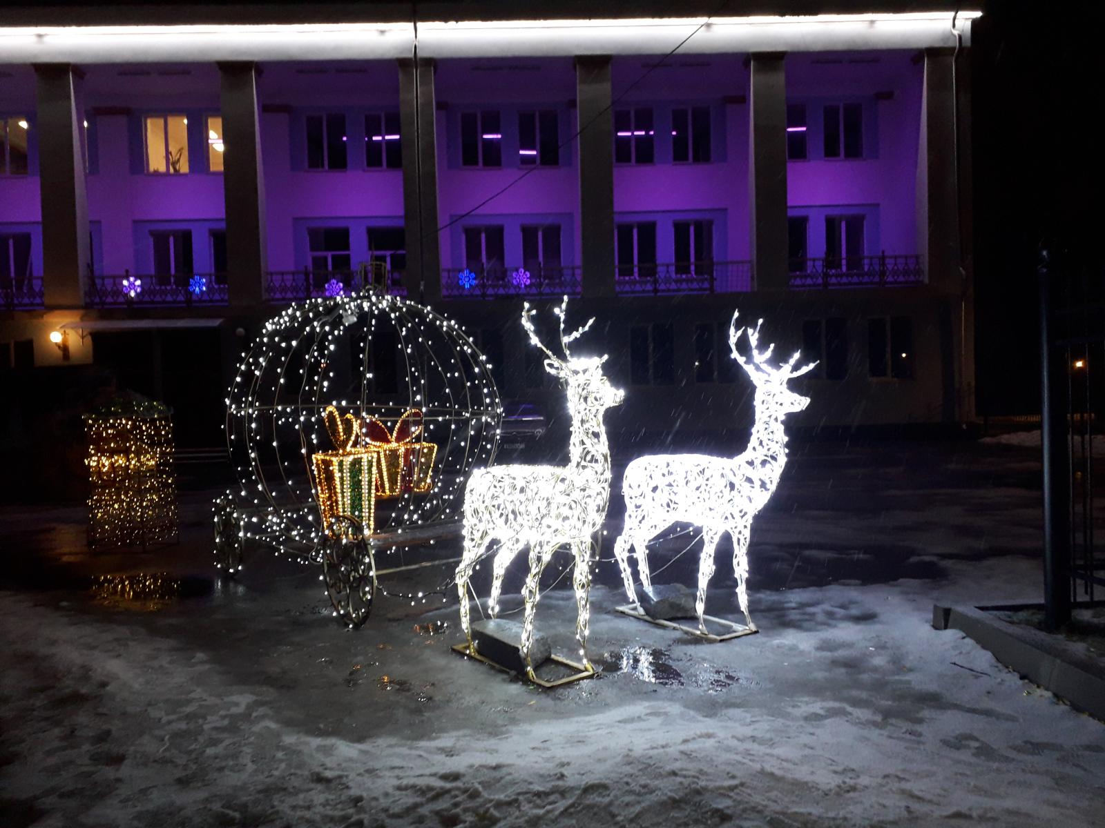 В Брянске выбрали новые места для украшения новогодними ёлками и инсталляциями