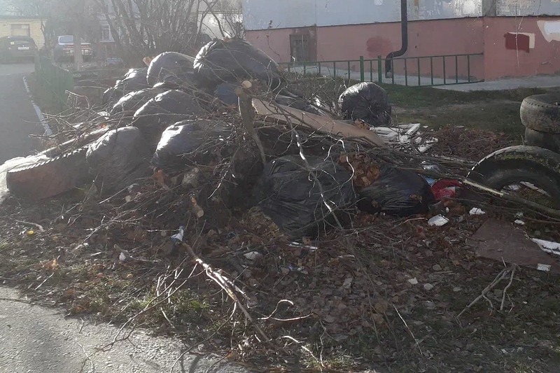 В Брянске 23 УК наказали за мусор на контейнерных площадках