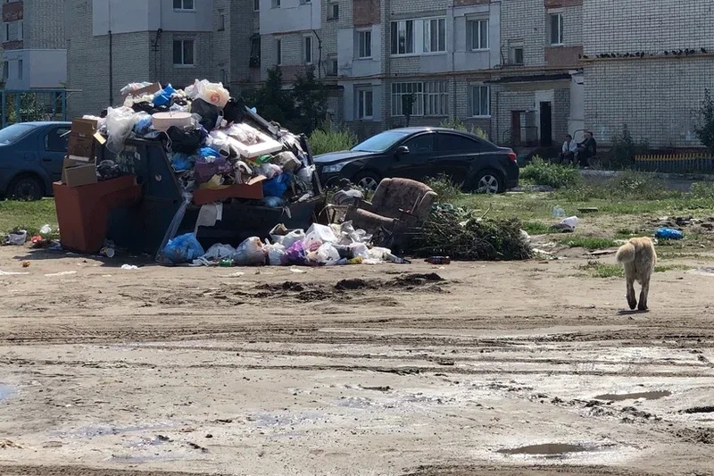 В Брянске автохамы на 3 дня перекрыли доступ к мусорным контейнерам