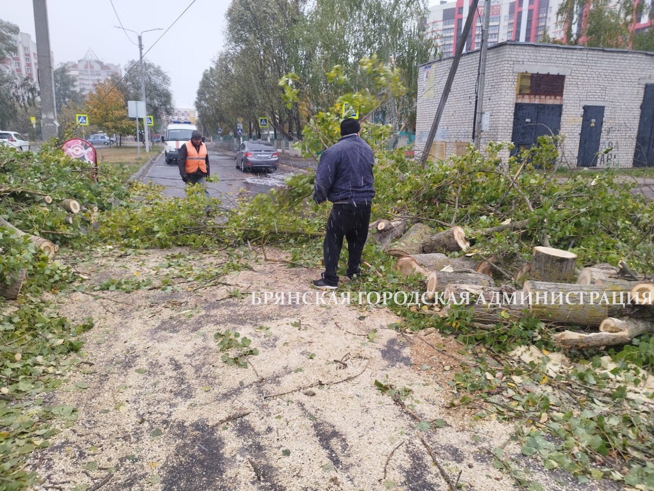 Опубликованы фото последствий урагана 8 октября в Брянске