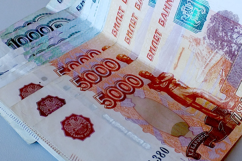 18-летняя девушка украла из сейфа брянской пенсионерки 80 тысяч рублей