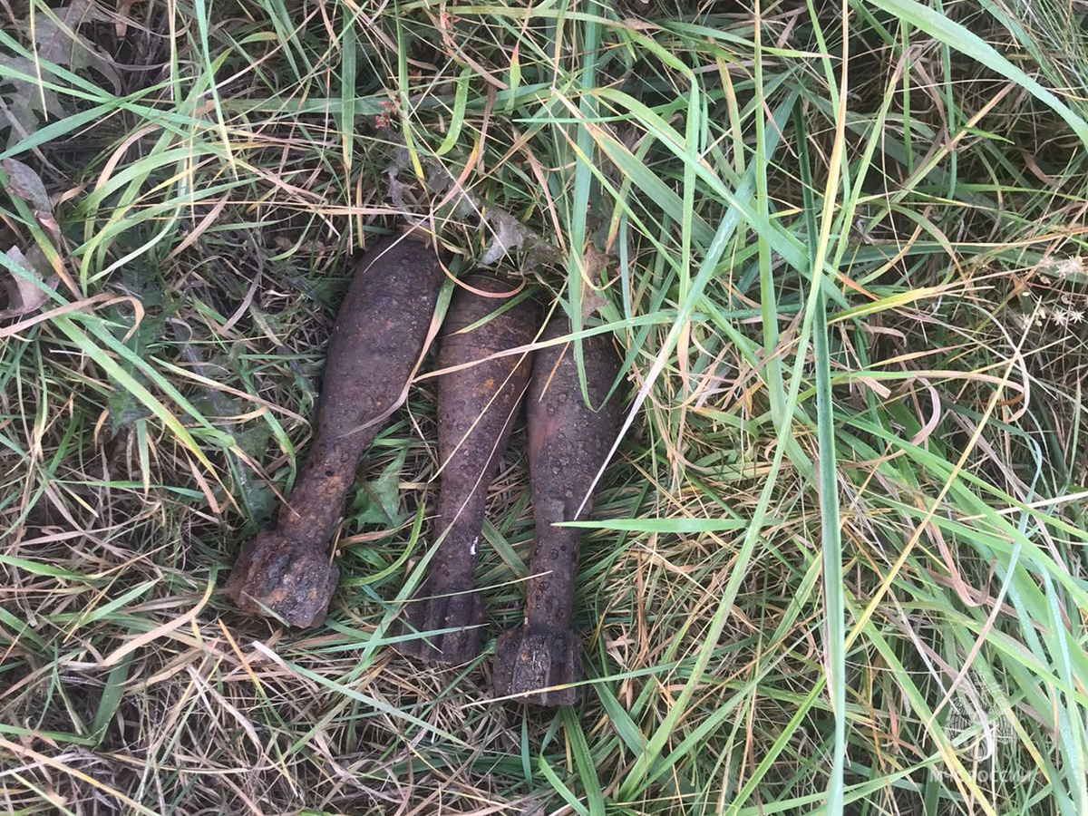 В лесу под Дятьковом нашли три изъеденные ржавчиной мины