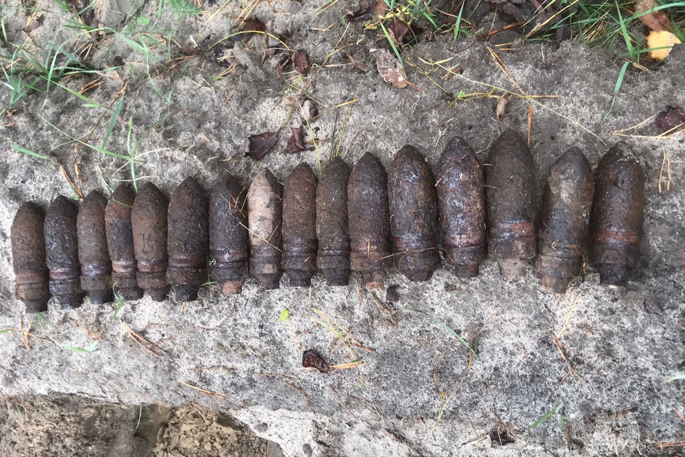Возле брянского села Домашово нашли 16 ржавых артснарядов