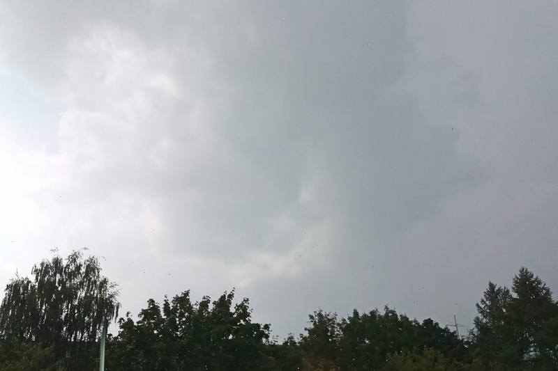 В Брянской области 28 октября пройдут дожди и подуют сильные ветра