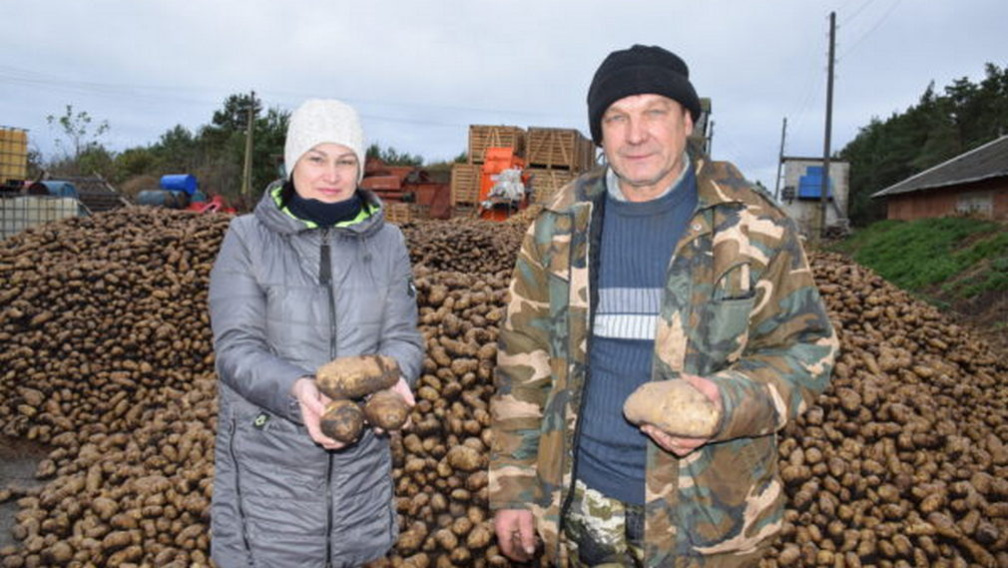 Фермер из Брянской области стал лидером по урожайности картофеля