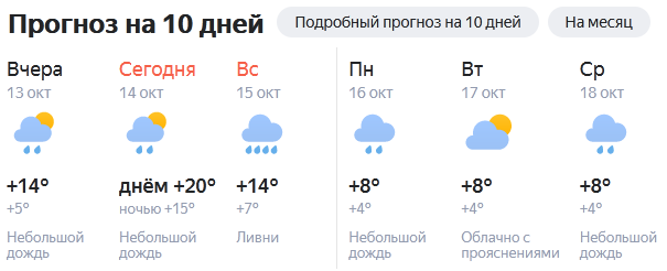 Погода брянская область две недели