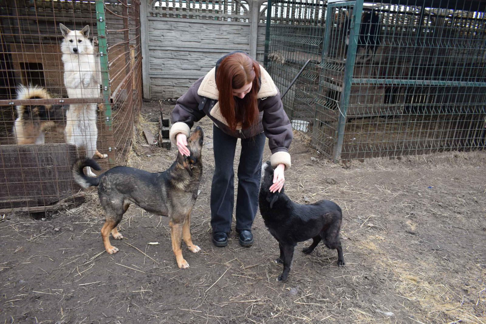 Сотрудники филиала «Брянскэнергосбыт» передали приюту для бездомных животных благотворительную помощь
