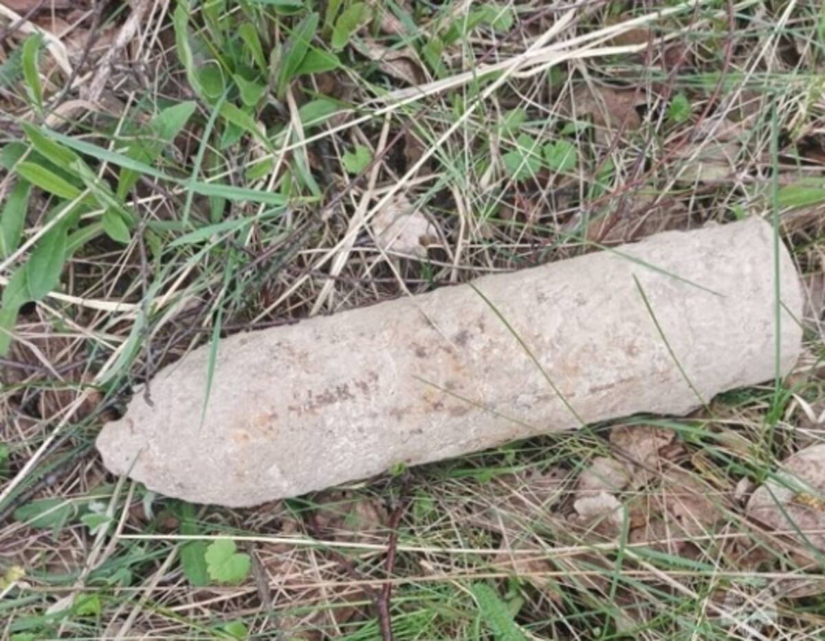 В поле в Дубровском районе Брянской области обнаружен артиллерийский снаряд