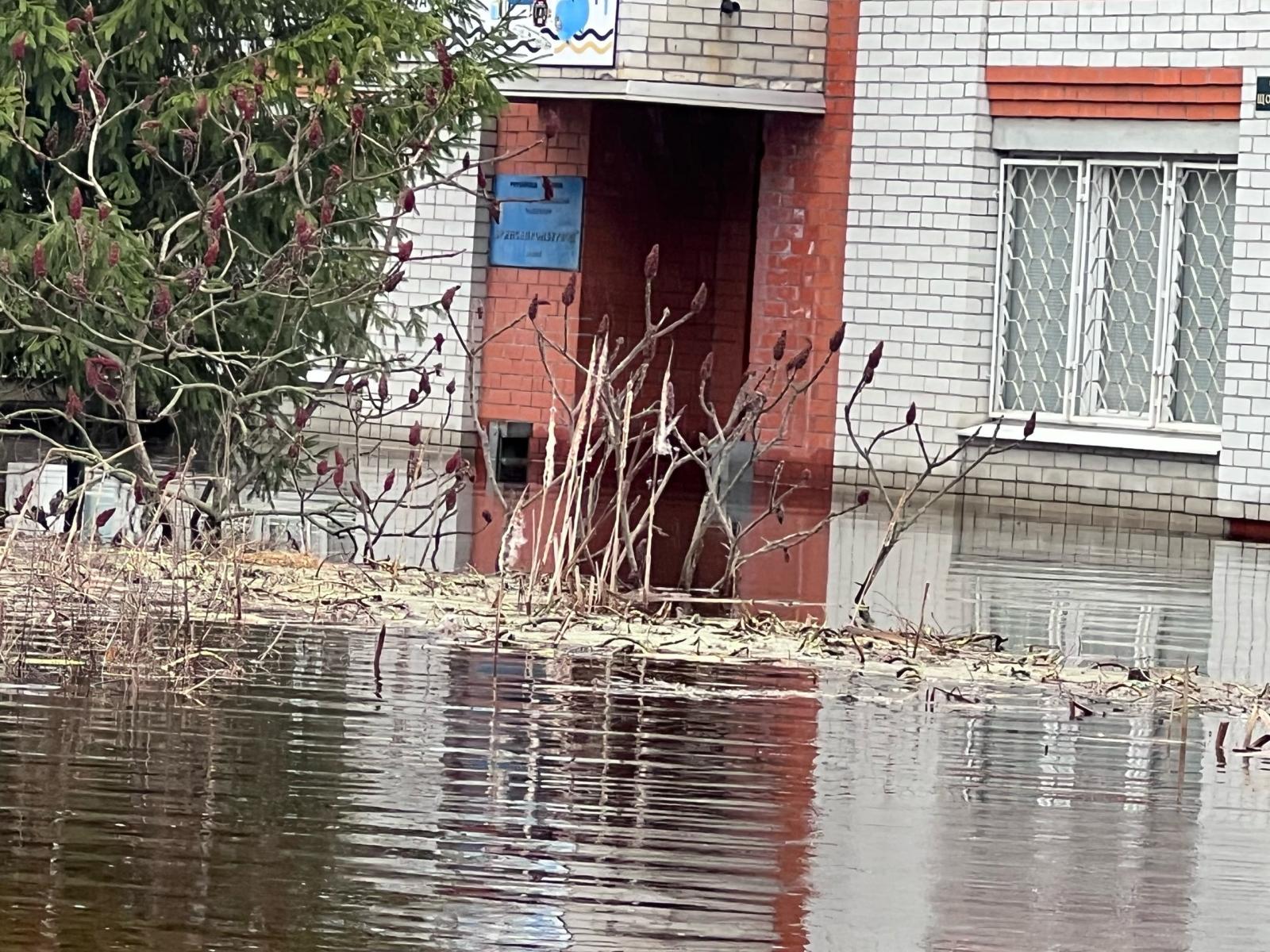 В Брянской области вода из-за паводка остается на территории 386 домовладений