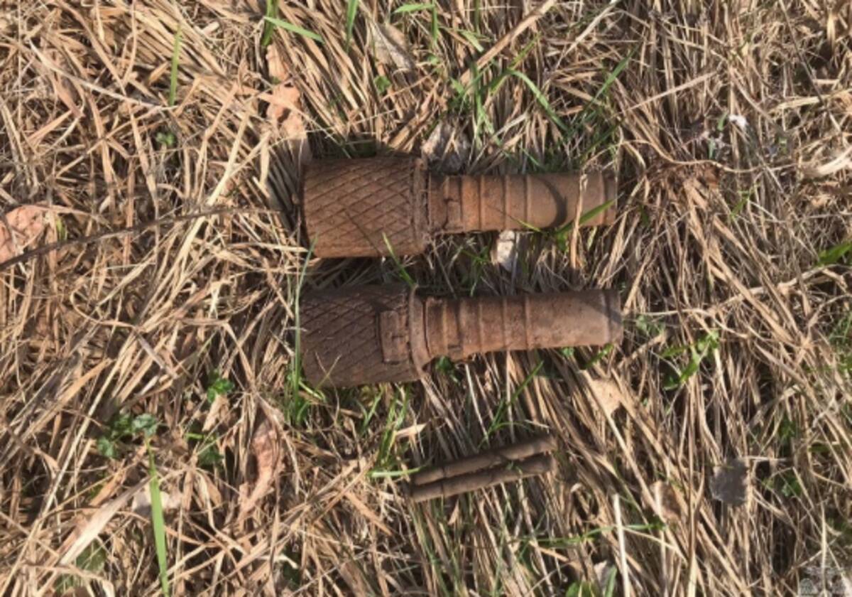 В лесу Погарского района Брянщины обнаружили 2 гранаты