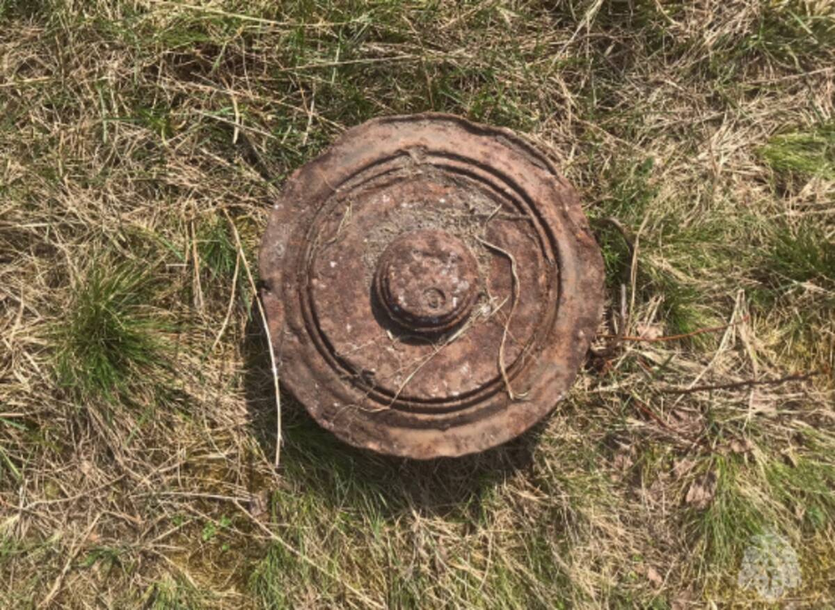 На территории Новозыбковского района обнаружили противотанковую мину