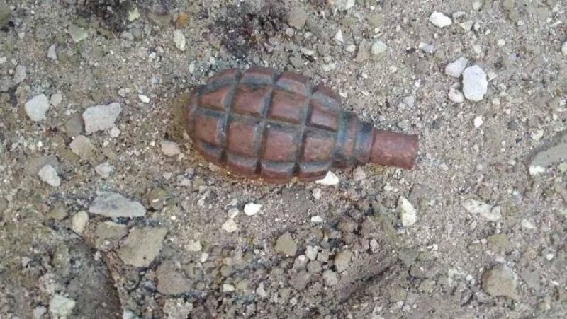 На территории Клетнянского района Брянщины местные жители в лесу наткнулись на гранату