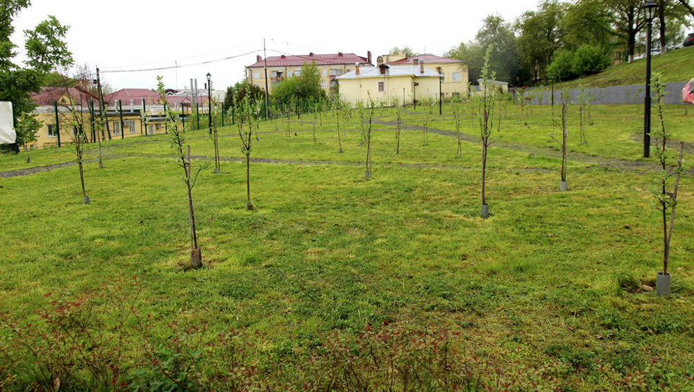 На Аллее Героев в Новозыбкове высадили «Сад памяти» из первых десяти яблонь
