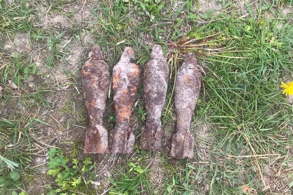 Под Жуковкой обнаружили проржавевшие мины