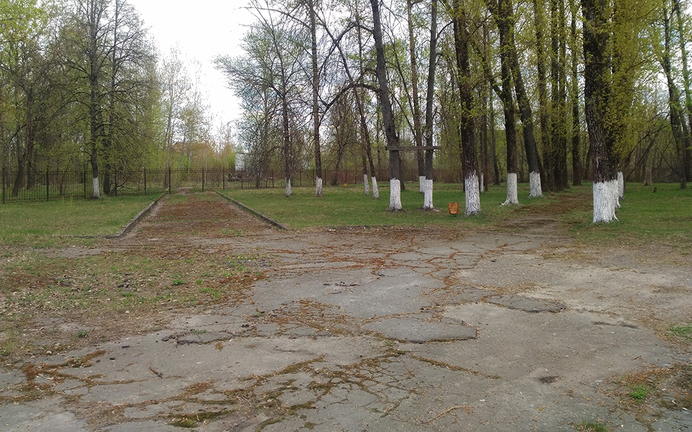 Более 5 000 человек надеются получить нормальный парк в Володарском районе Брянска