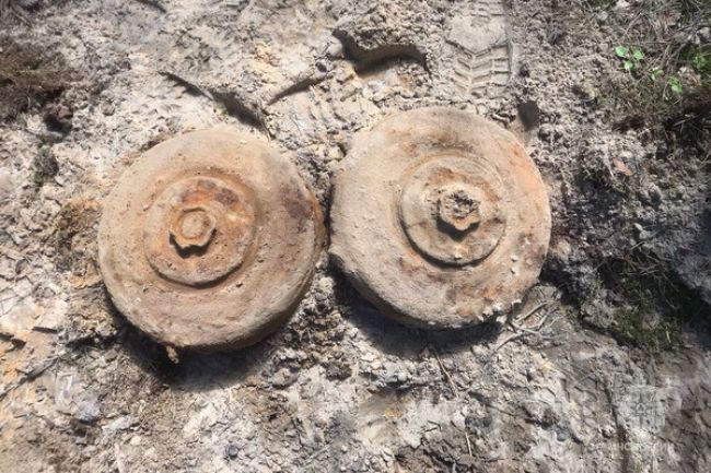 В лесу Унечского района Брянщины обнаружили две противотанковые мины