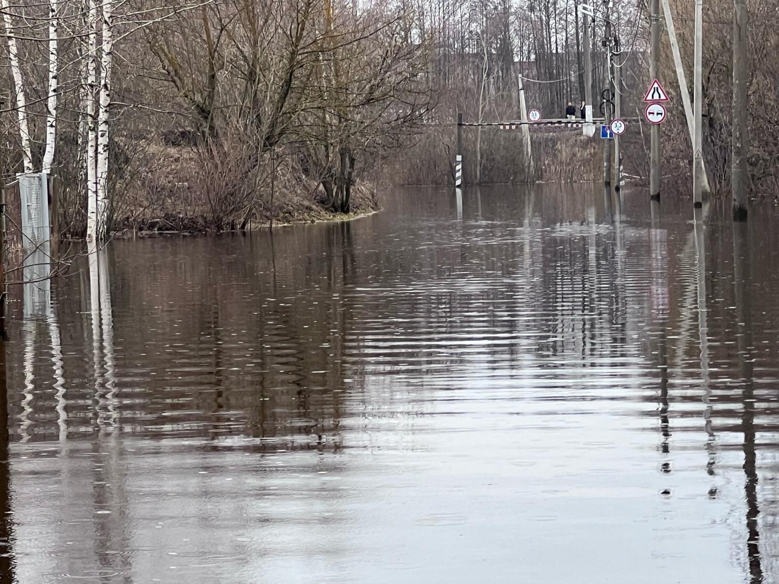 На территории Брянской области остаются затопленными 197 домовладений и пять дорог