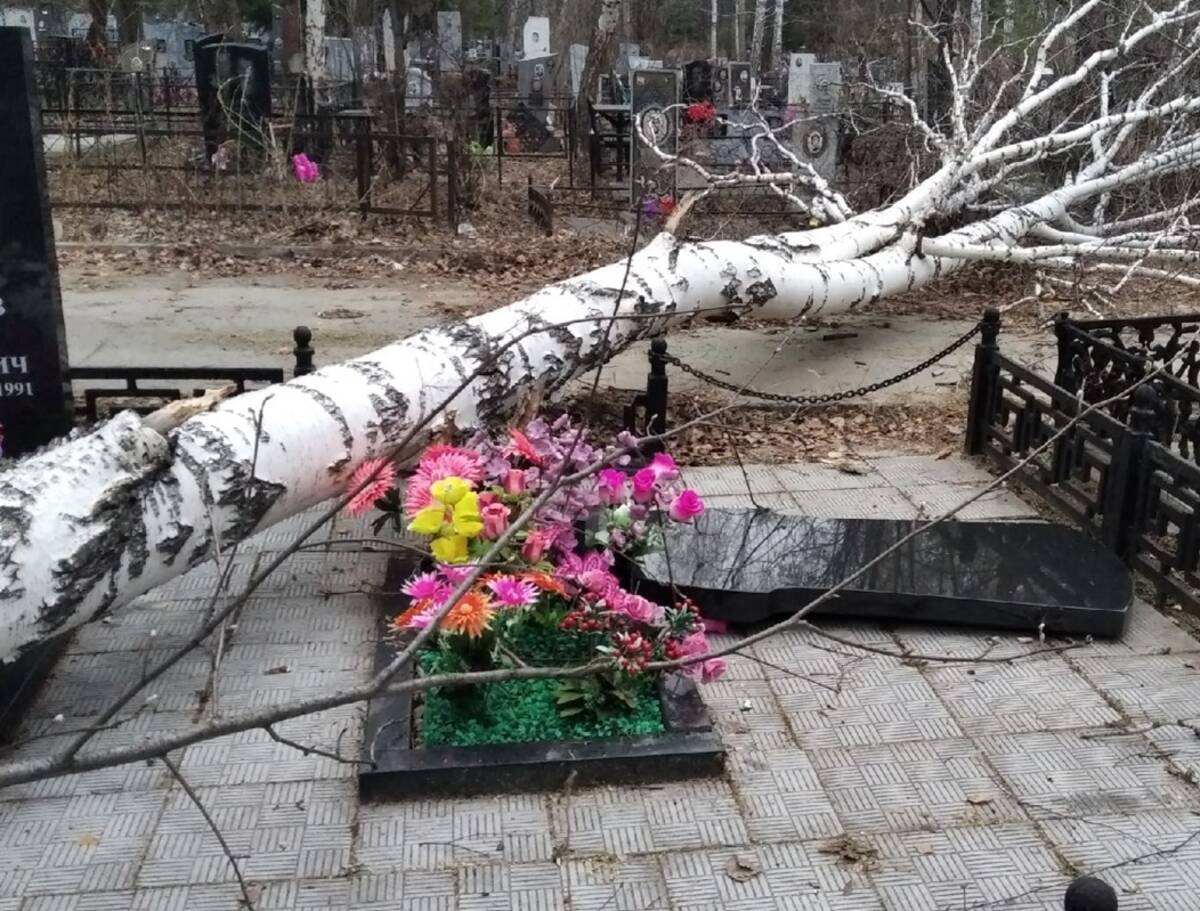 В Брянске женщина через суд пытается взыскать компенсацию за разрушенный памятник на могиле своей дочери