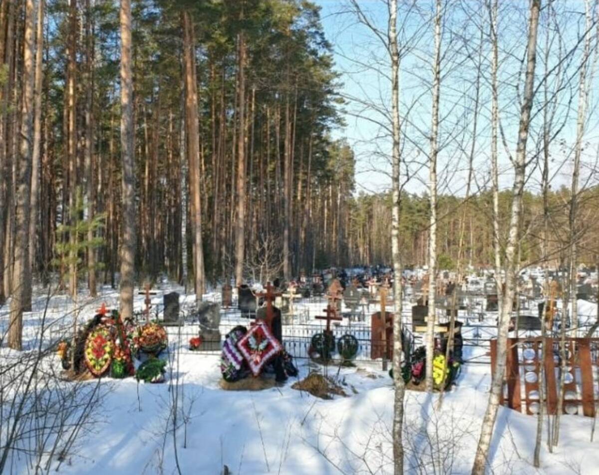 В Фокинском районе Брянска кладбище в поселке Белые Берега расширят на 4,2 гектара