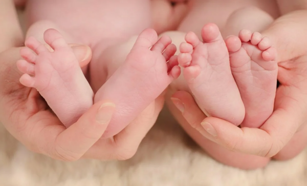В Брянской области зарегистрировали рождение первой пары близнецов в 2023 году