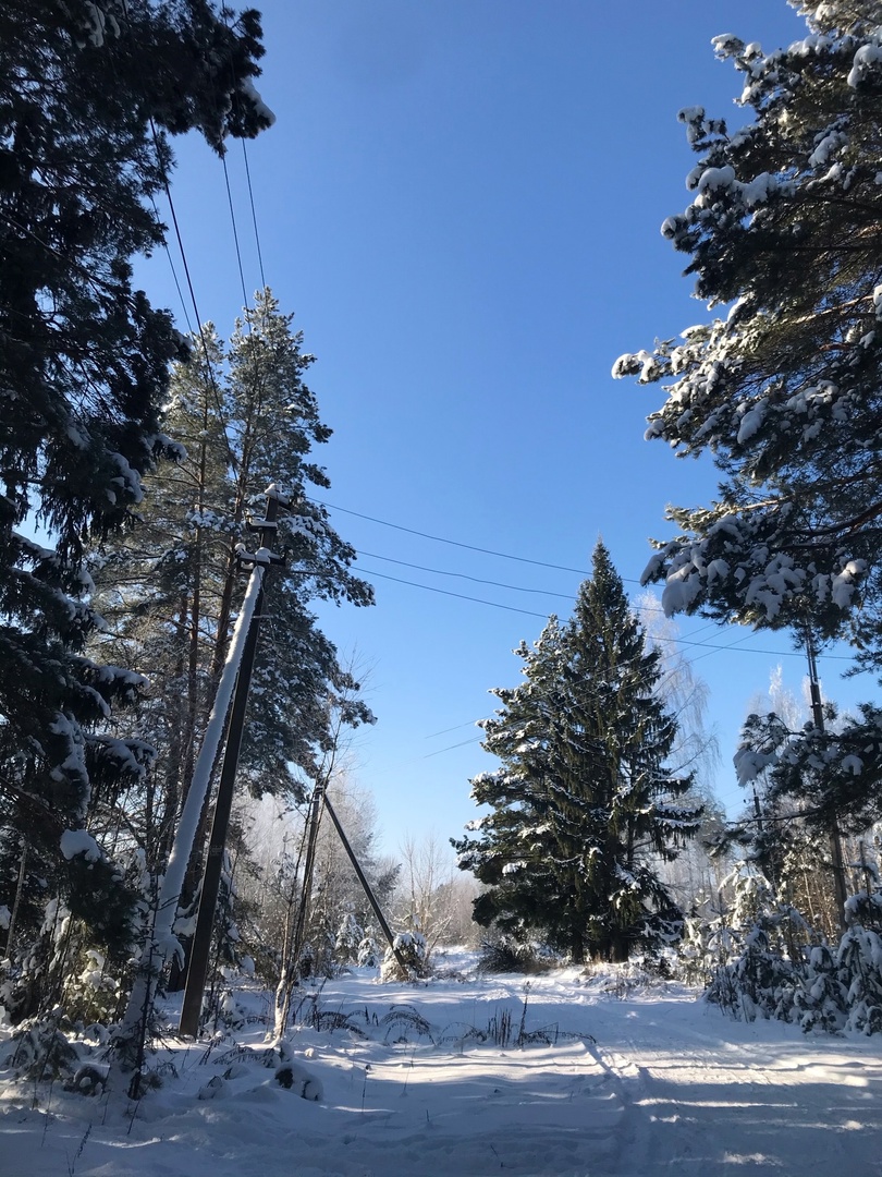 На территории Брянской области 13 февраля ожидаются заморозки до -11 градусов