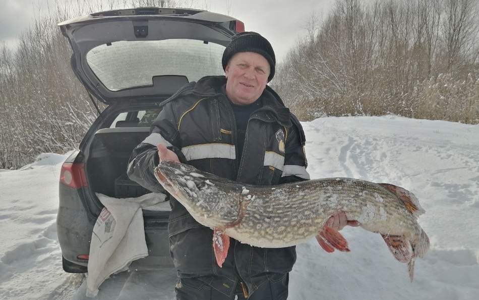 В Брянске рыбак выловил в озере щуку весом 10,5 килограмма