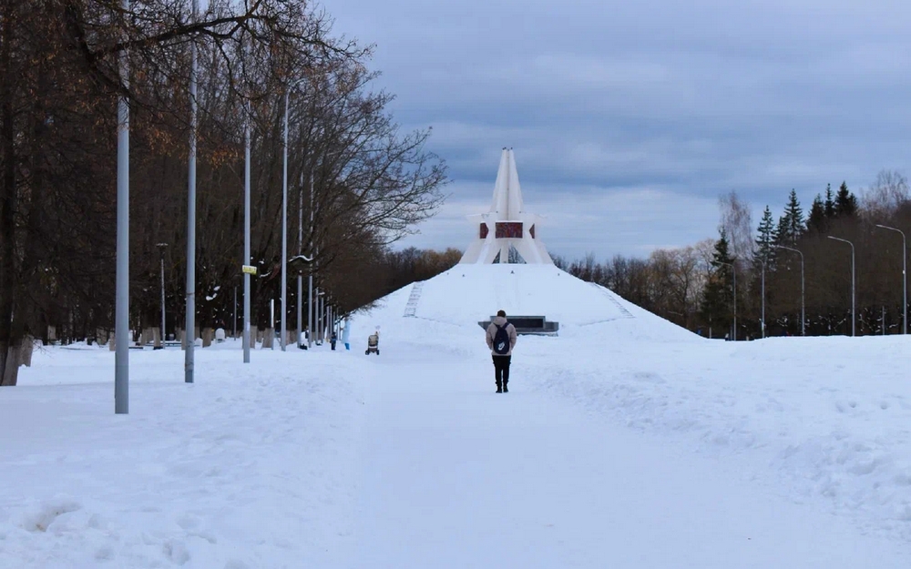 Жителям Брянской области пообещали, что февраль еще затрещит морозами