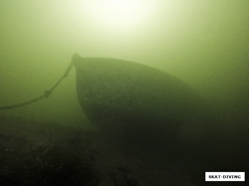 Брянские ныряльщики исследовали подводный мир Десны