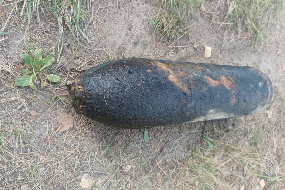 В реке Десне под Жуковкой нашли проржавевший снаряд