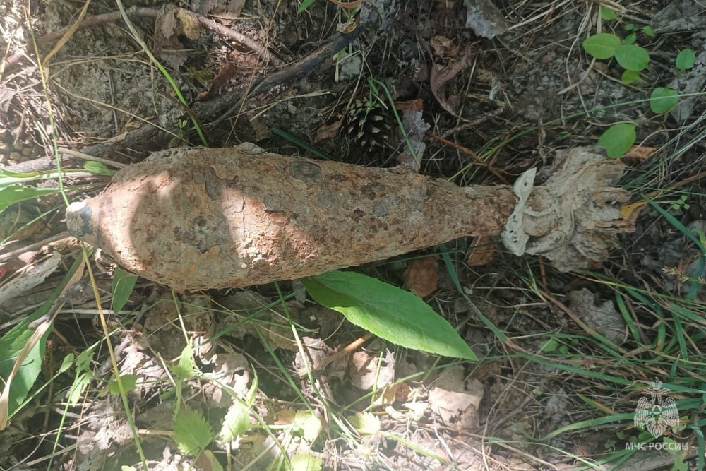 В поле под Навлей нашли изъеденную ржавчиной мину