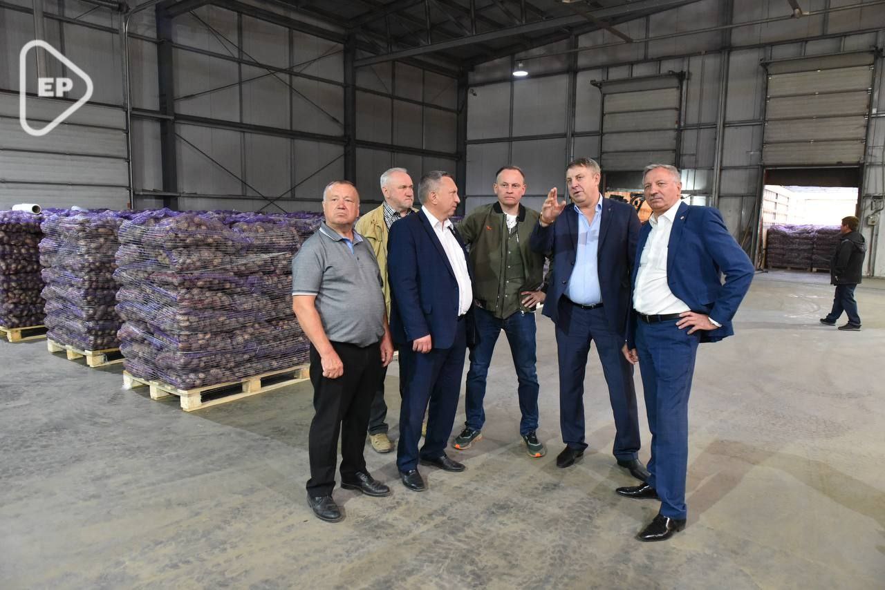 «Единая Россия» отправит 3 тысячи тонн брянского картофеля в ЛНР