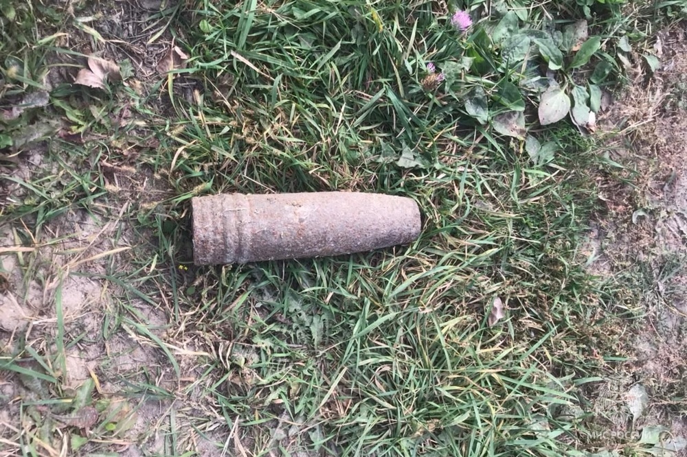 В лесу под Брасовом нашли артиллерийский снаряд