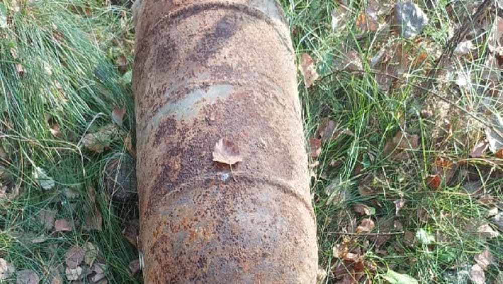 Жители Рогнединского района в лесу наткнулись на 305-мм снаряд
