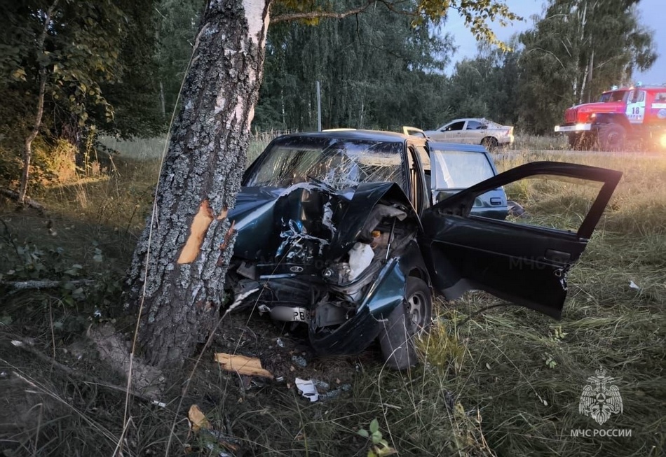 Врезавшийся в дерево под Суражом автомобилист получил перелом ноги