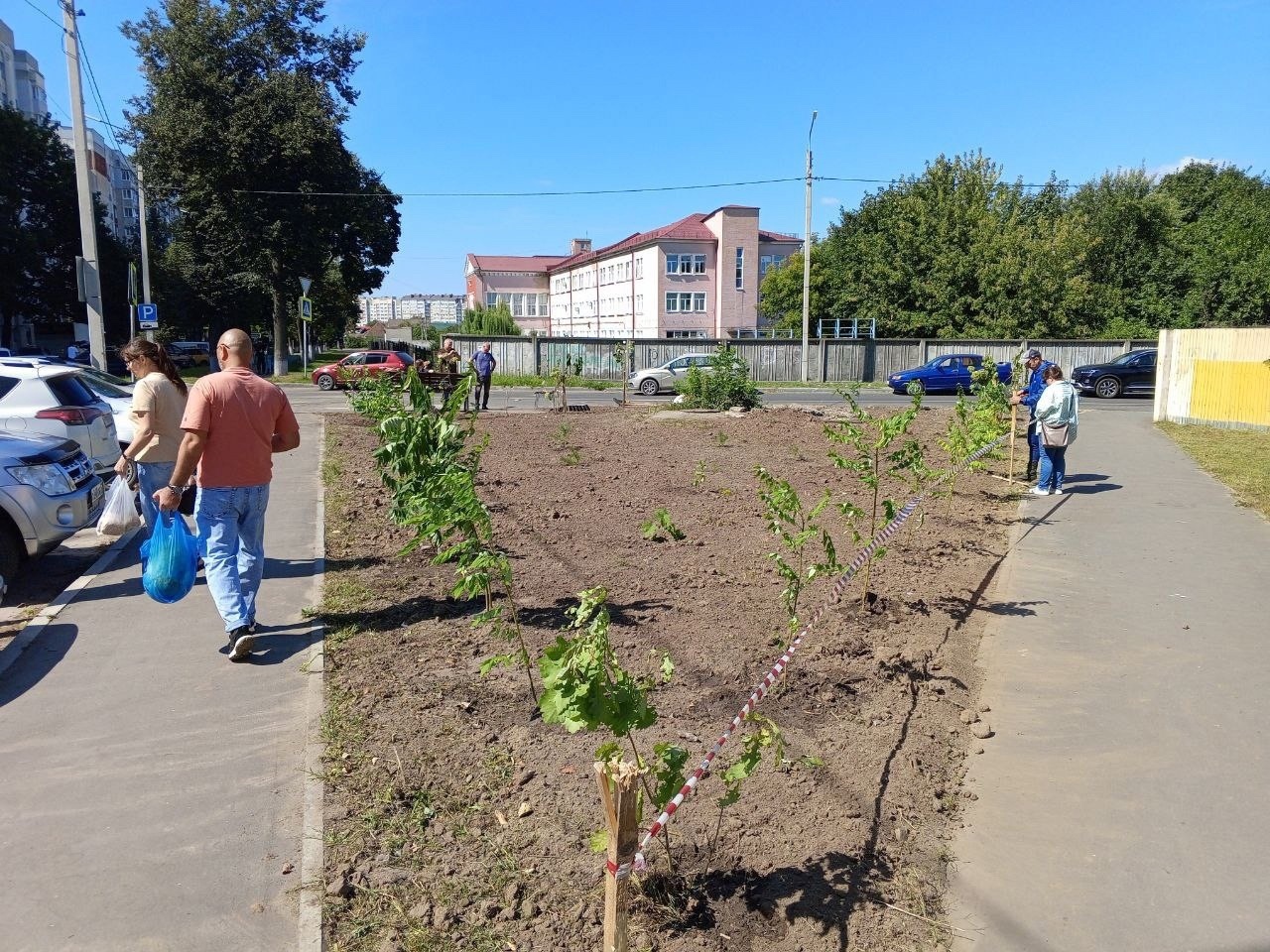 В Брянске вместо зловонной свалки появился зеленый уголок с гортензиями