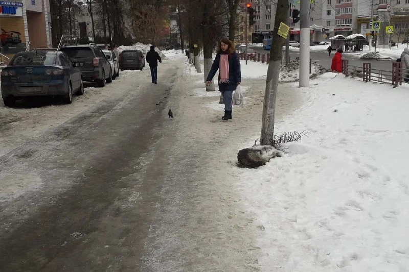 Завтра на Брянскую область опустится туман и пойдет небольшой снег с дождем