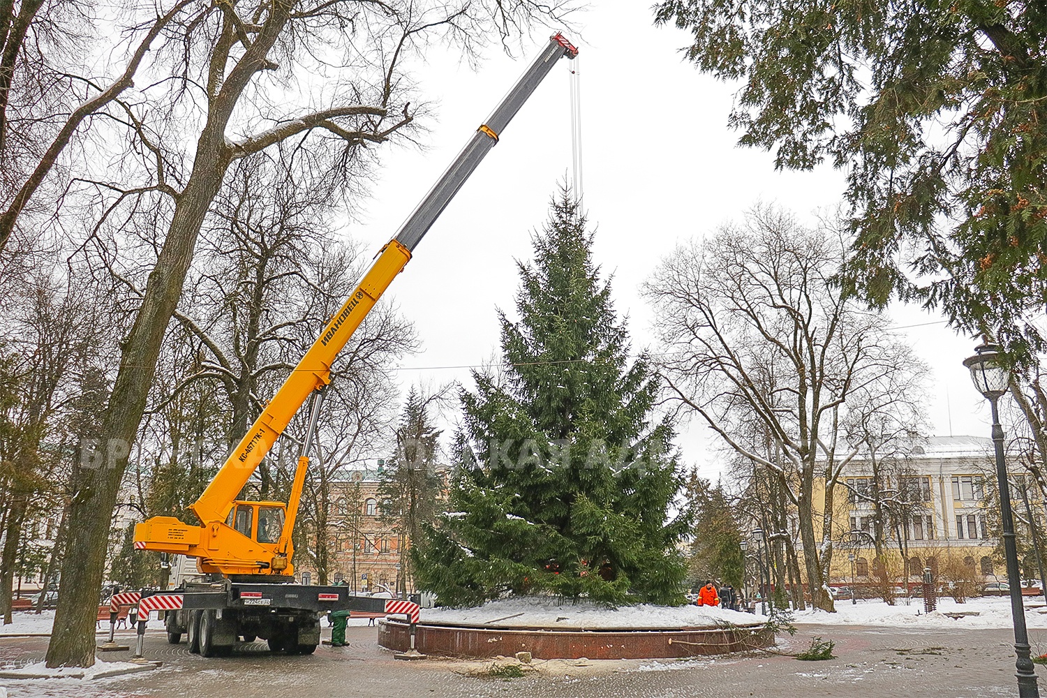 Главную елку Брянска установили в Круглом сквере