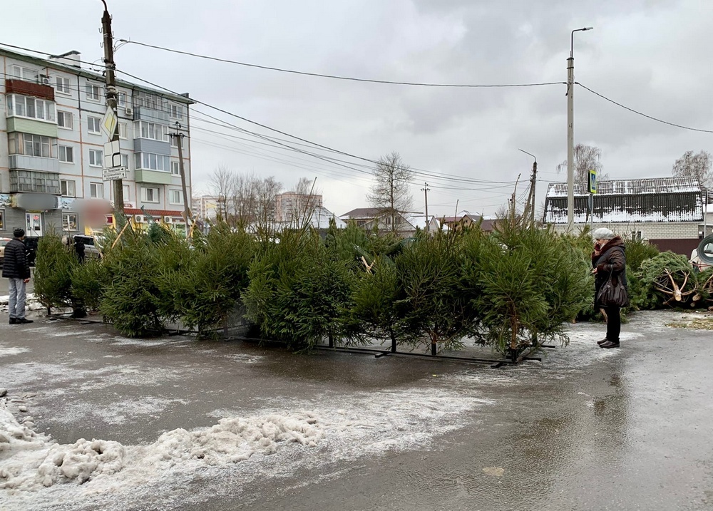 Елочные базары откроются в Брянске уже завтра