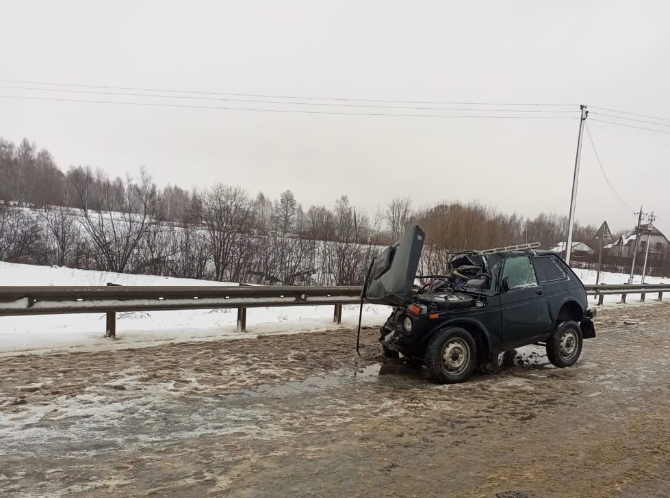 Жуткое ДТП на брянской трассе унесло жизнь 36-летней женщины