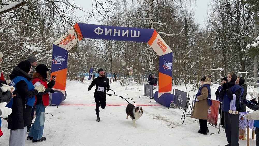 «Соловьи cross»: жители Брянска вышли на старт с собаками