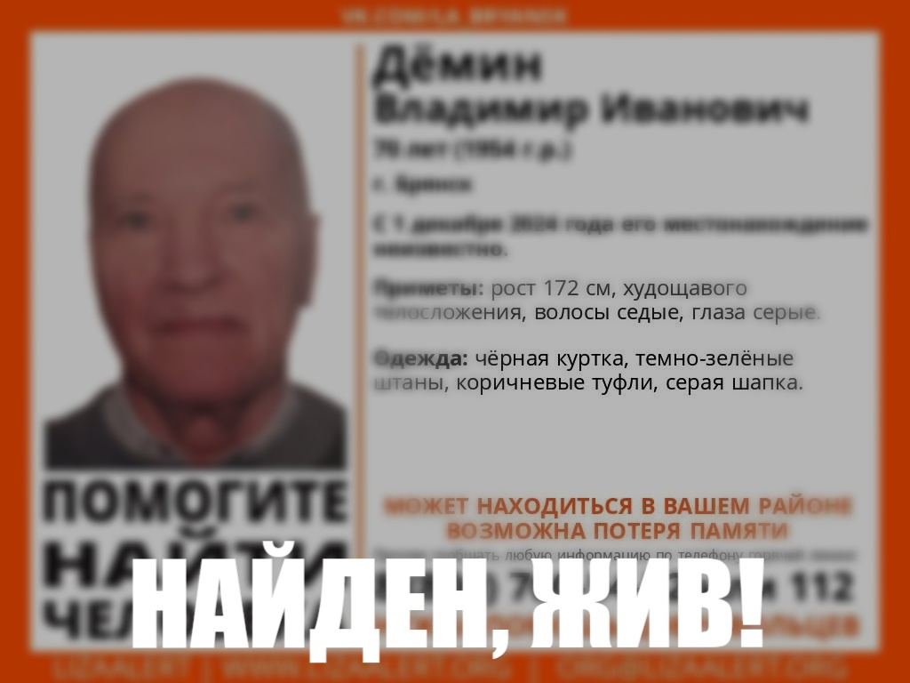 Пропавший в Брянске Владимир Демин найден живым