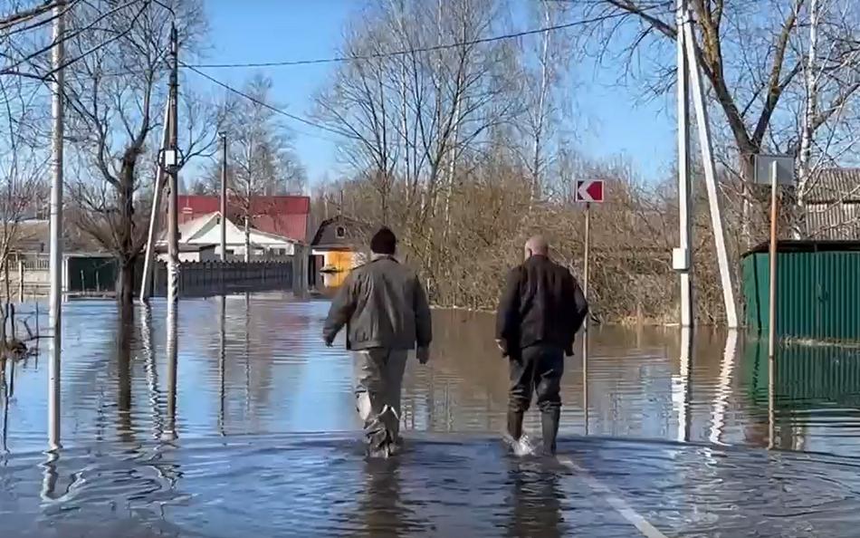 Уже 11 домовладений затоплено в Брянской области